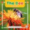 The Bee