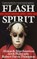 Flash of the Spirit