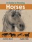 A Guide to Drawing Horses of All Ages Activity Book