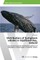 Distribution of humpback whales in SkjÃ¡lfandi Bay, Iceland