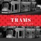 Trams Any Year Planner