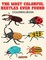 The Most Colorful Beetles Ever Found Coloring Book