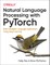 Natural Language Processing with Pytorch