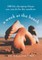 A Week at the Beach