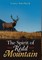 The Spirit of Redd Mountain