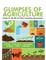 Glimpses Of Agriculture (A Book For JRF, SRF And Other Completitive Examinations)