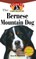 Bernese Mountain Dog