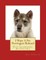 I Want A Pet Norwegian Buhund