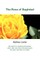 The Rose of Baghdad