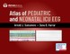 Atlas of Pediatric and Neonatal ICU Eeg