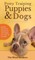 Potty Training Puppies & Dogs - The Simple Little Guide
