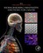 Bioengineering Innovative Solutions for Cancer