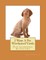 I Want A Pet Wirehaired Vizsla