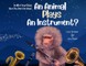 In All of Your Days Have You Seen the Ways an Animal Plays an Instrument?