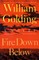 Fire Down Below
