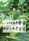 Variability and Grouping of Tree Leaf Traits in Multi-Species Reforestation (Leyte, Philippines)