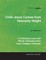 Child Jesus Comes from Heavenly Height - A Christmas Carol with Words Translated from Hans Christian Andersen for Satb Choir