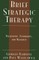Advanced Brief Therapy