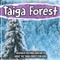 Taiga Forest