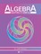 Beginning Algebra