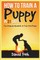 How to Train a Puppy in 31 days