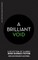 BRILLIANT VOID