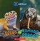 Gecko or Komodo Dragon (Wild World: Pets and Wild Animals)