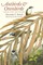 Antbirds and Ovenbirds