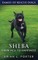 Sheba - From Hell to Happiness