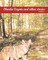 Charlie Coyote & other stories