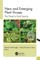 New and Emerging Plant Viruses