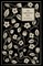 Fifty Forgotten Books