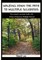 Walking Down The Path To Multiple Sclerosis