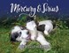 Mercury & Sirius