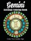 Gemini Astrology Coloring Book