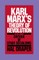 Karl Marx's Theory of Revolution Vol IV