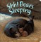 Shh! Bears Sleeping