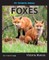 My Favorite Animal