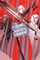 Is It Wrong to Try to Pick Up Girls in a Dungeon?, Vol. 17 (Light Novel)