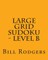 Large Grid Sudoku - Level B