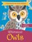 Whimsical Owls - Coloring Books Owls Edition