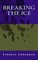 Breaking The Ice