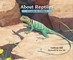 Sill, C: About Reptiles
