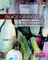 Image Grammar, Second Edition