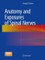 Anatomy and Exposures of Spinal Nerves