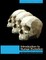 Introduction to Human Evolution