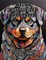 Regal Rottweiler Mandalas