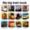 My Big Train Book
