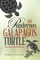 The Ponderous Galapagos Turtle