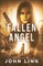 Fallen Angel